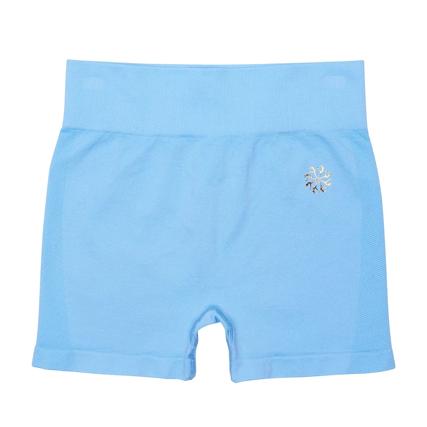 Paige: Seamless Shorts in Sky Blue